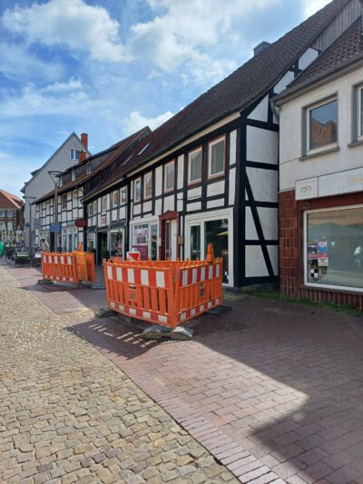 Hier standen mal große Bäume