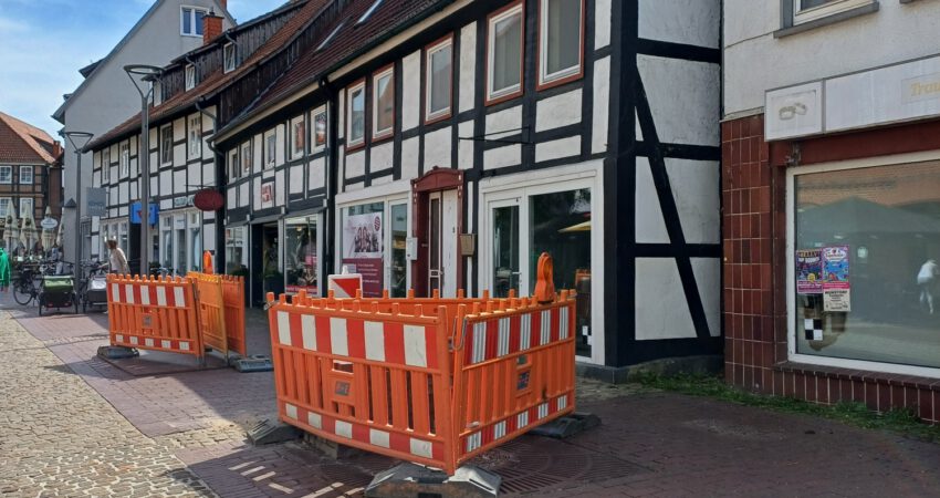 Hier standen mal große Bäume